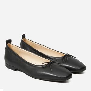 Everlane Day Ballet Flat